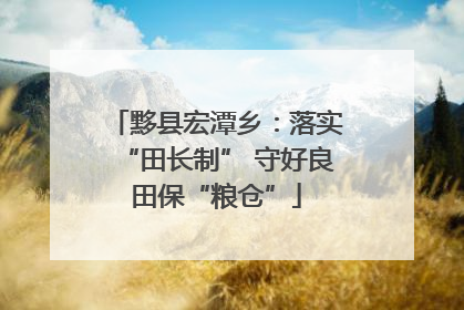 黟县宏潭乡：落实“田长制” 守好良田保“粮仓”