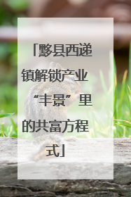 黟县西递镇解锁产业“丰景”里的共富方程式