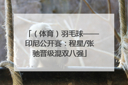 （体育）羽毛球——印尼公开赛：程星/张驰晋级混双八强