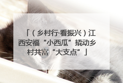 （乡村行·看振兴）江西安福“小西瓜”撬动乡村共富“大支点”