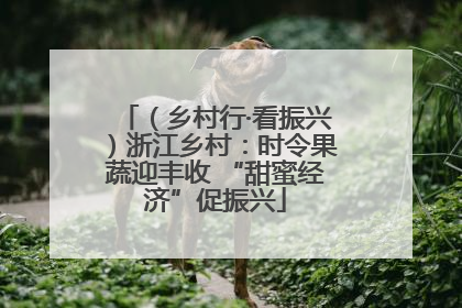 （乡村行·看振兴）浙江乡村：时令果蔬迎丰收 “甜蜜经济”促振兴