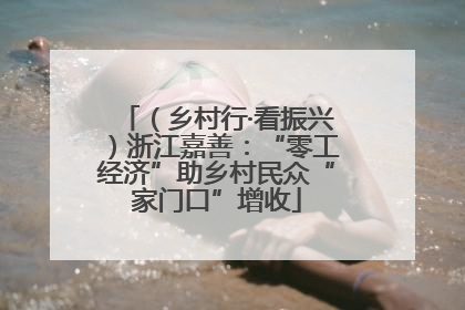 （乡村行·看振兴）浙江嘉善：“零工经济”助乡村民众“家门口”增收