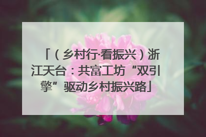 （乡村行·看振兴）浙江天台：共富工坊“双引擎”驱动乡村振兴路