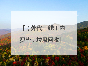 （外代一线）内罗毕：垃圾回收