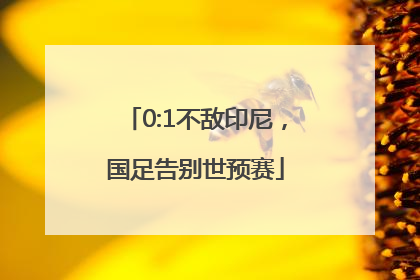 0:1不敌印尼，国足告别世预赛