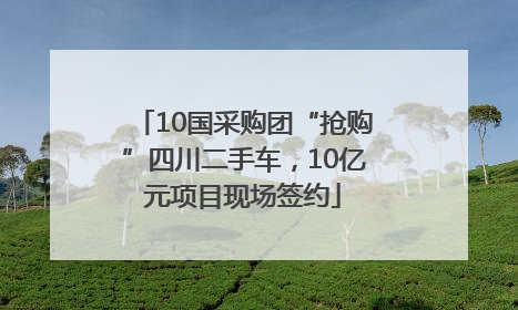 10国采购团“抢购”四川二手车，10亿元项目现场签约