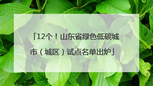 12个！山东省绿色低碳城市（城区）试点名单出炉