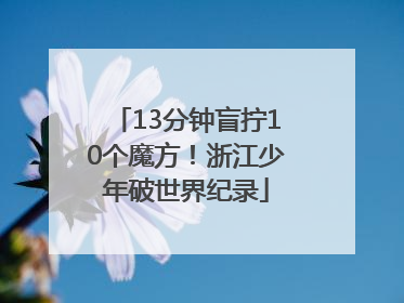 13分钟盲拧10个魔方！浙江少年破世界纪录