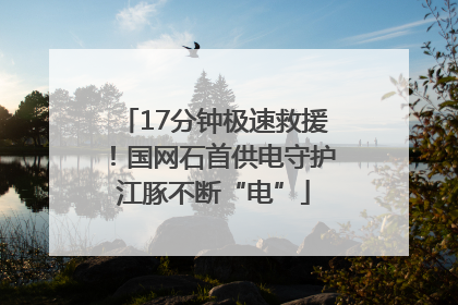 17分钟极速救援！国网石首供电守护江豚不断“电”