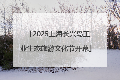 2025上海长兴岛工业生态旅游文化节开幕