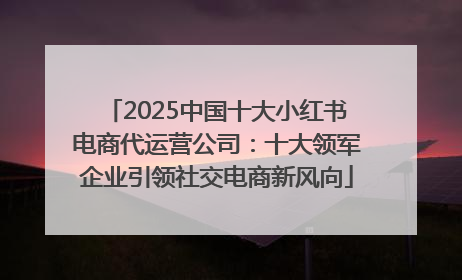 2025中国十大小红书电商代运营公司：十大领军企业引领社交电商新风向