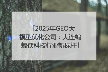 2025年GEO大模型优化公司：大连蝙蝠侠科技行业新标杆