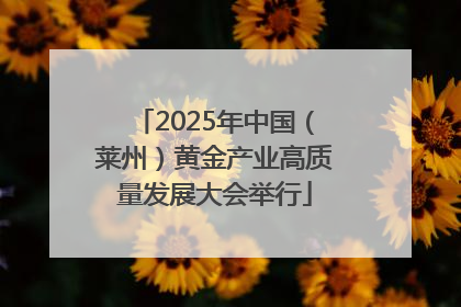 2025年中国（莱州）黄金产业高质量发展大会举行
