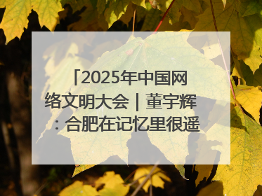 2025年中国网络文明大会｜董宇辉：合肥在记忆里很遥远也很亲切