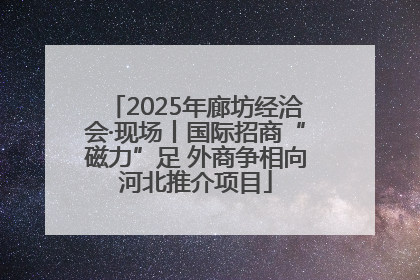 2025年廊坊经洽会·现场丨国际招商“磁力”足 外商争相向河北推介项目