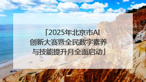 2025年北京市AI创新大赛暨全民数字素养与技能提升月全面启动