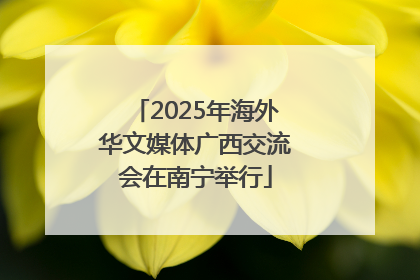 2025年海外华文媒体广西交流会在南宁举行