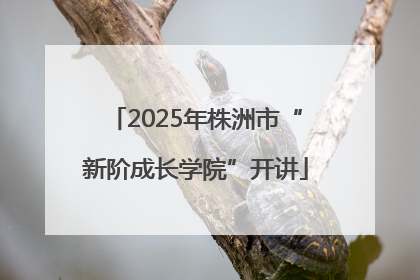 2025年株洲市“新阶成长学院”开讲