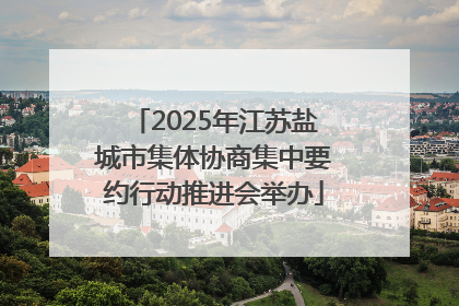 2025年江苏盐城市集体协商集中要约行动推进会举办