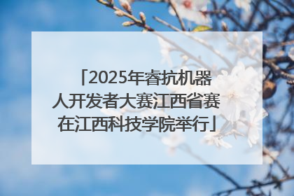 2025年睿抗机器人开发者大赛江西省赛在江西科技学院举行
