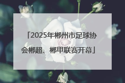 2025年郴州市足球协会郴超、郴甲联赛开幕