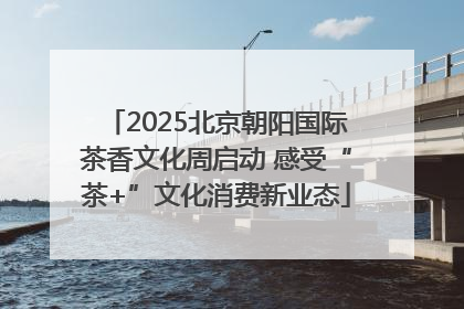 2025北京朝阳国际茶香文化周启动 感受“茶+”文化消费新业态