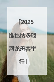 2025维也纳多瑙河龙舟赛举行