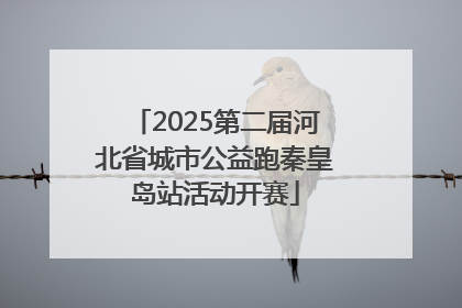 2025第二届河北省城市公益跑秦皇岛站活动开赛