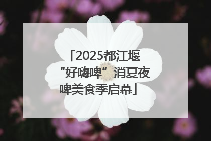 2025都江堰“好嗨啤”消夏夜啤美食季启幕
