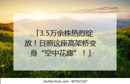 3.5万余株热烈绽放！日照这座高架桥变身“空中花廊”！
