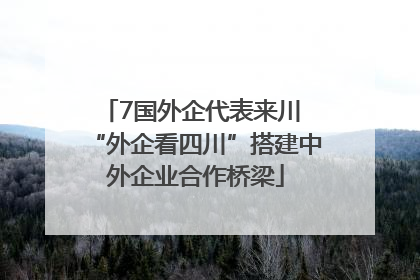 7国外企代表来川 “外企看四川”搭建中外企业合作桥梁