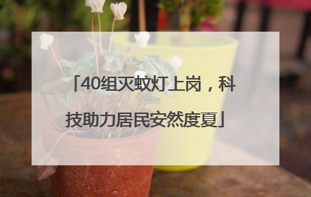 40组灭蚊灯上岗，科技助力居民安然度夏
