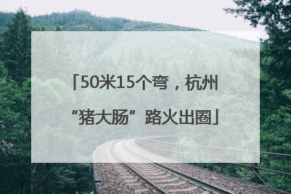 50米15个弯，杭州“猪大肠”路火出圈