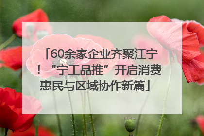 60余家企业齐聚江宁！“宁工品推”开启消费惠民与区域协作新篇