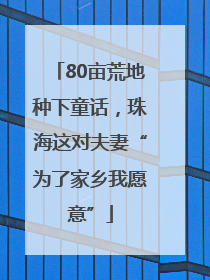 80亩荒地种下童话，珠海这对夫妻“为了家乡我愿意”