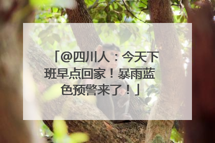 @四川人：今天下班早点回家！暴雨蓝色预警来了！