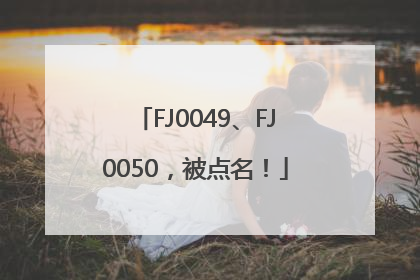 FJ0049、FJ0050，被点名！